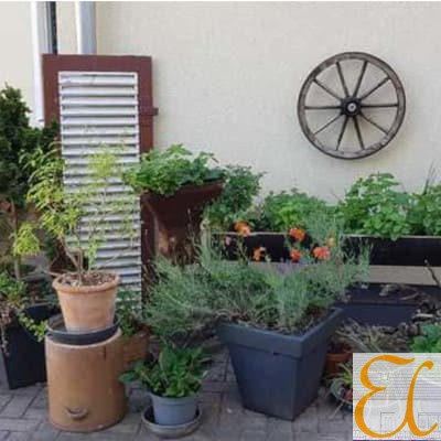 Garten_3